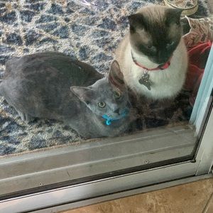 Meet your Posher, Larry